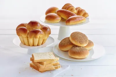 Easy smeša za belo pecivo