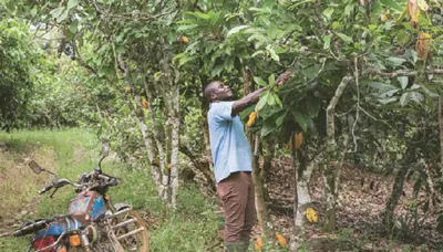 Tvrdnje o održivoj proizvodnji čokolade