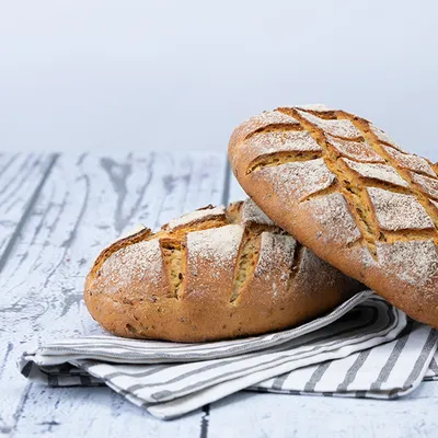 Softgrain Golden 6 CL