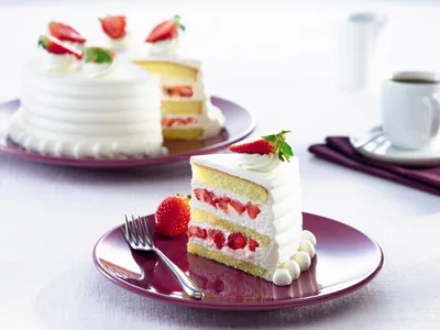 Tegral Plain Cake