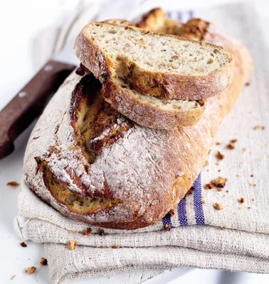 Purasauer Rye (zakišeljivač)