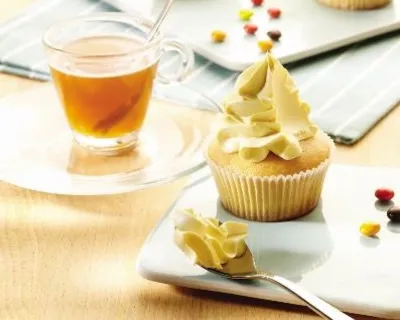 Aristo Primeur Crema HF